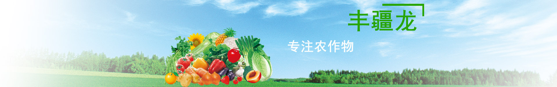 新疆根多壮生物科技有限公司